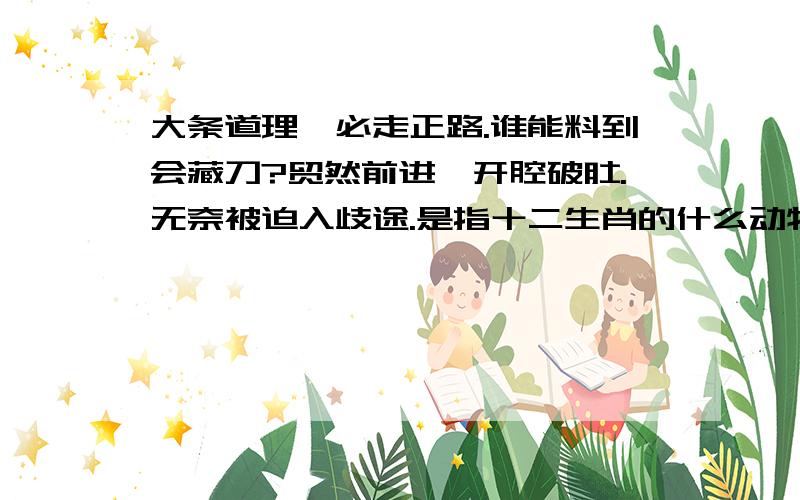 大条道理,必走正路.谁能料到会藏刀?贸然前进,开腔破肚.无奈被迫入歧途.是指十二生肖的什么动物