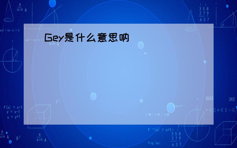 Gey是什么意思呐