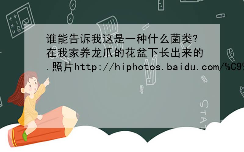 谁能告诉我这是一种什么菌类?在我家养龙爪的花盆下长出来的.照片http://hiphotos.baidu.com/%C9%C1_88/pic/item/02e6d90602530c62030881aa.jpghttp://hiphotos.baidu.com/%C9%C1_88/pic/item/5f311eeca3d7653e63d09fa8.jpg我想问的是