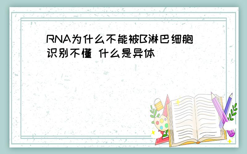 RNA为什么不能被B淋巴细胞识别不懂 什么是异体