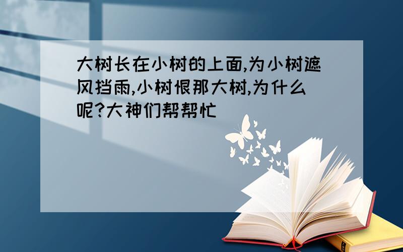 大树长在小树的上面,为小树遮风挡雨,小树恨那大树,为什么呢?大神们帮帮忙