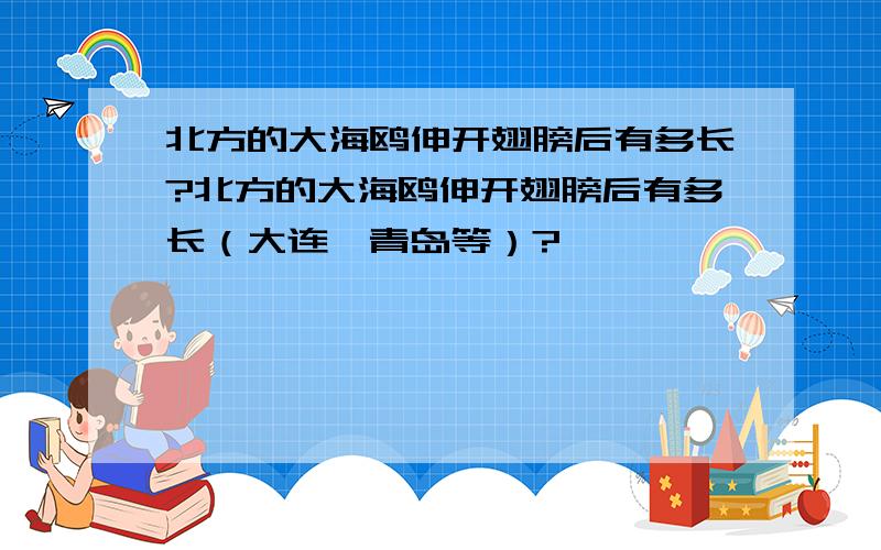 北方的大海鸥伸开翅膀后有多长?北方的大海鸥伸开翅膀后有多长（大连、青岛等）?