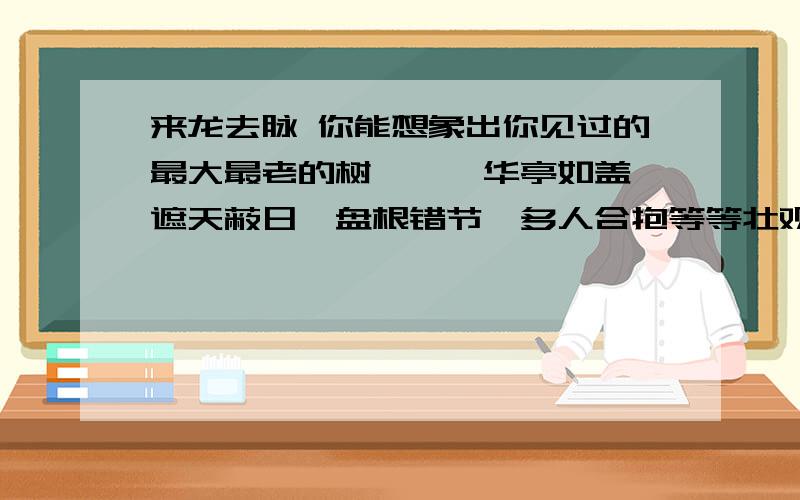 来龙去脉 你能想象出你见过的最大最老的树———华亭如盖,遮天蔽日,盘根错节,多人合抱等等壮观景象.　　　　但你能想象出最大最老的藤吗?我没有见过,也无法想象,这是一位筑了一辈子