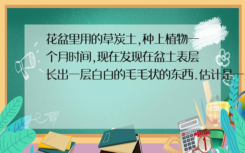 花盆里用的草炭土,种上植物一个月时间,现在发现在盆土表层长出一层白白的毛毛状的东西.估计是一些真菌细菌的.