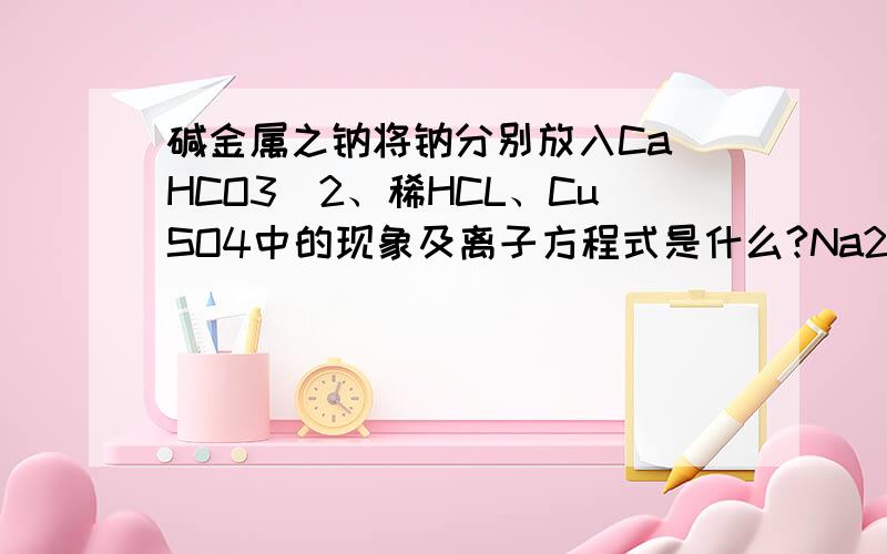 碱金属之钠将钠分别放入Ca(HCO3)2、稀HCL、CuSO4中的现象及离子方程式是什么?Na2O溶于水吗?