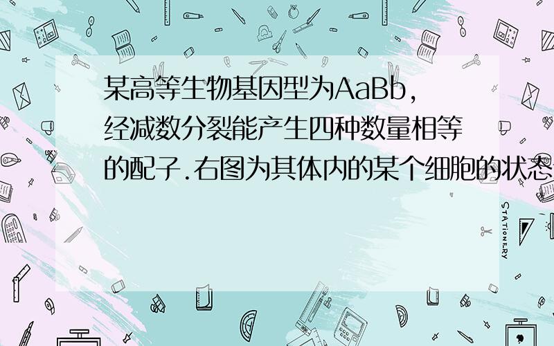 某高等生物基因型为AaBb,经减数分裂能产生四种数量相等的配子.右图为其体内的某个细胞的状态示意图,下列说法中错误的是                                                                         A．图中基