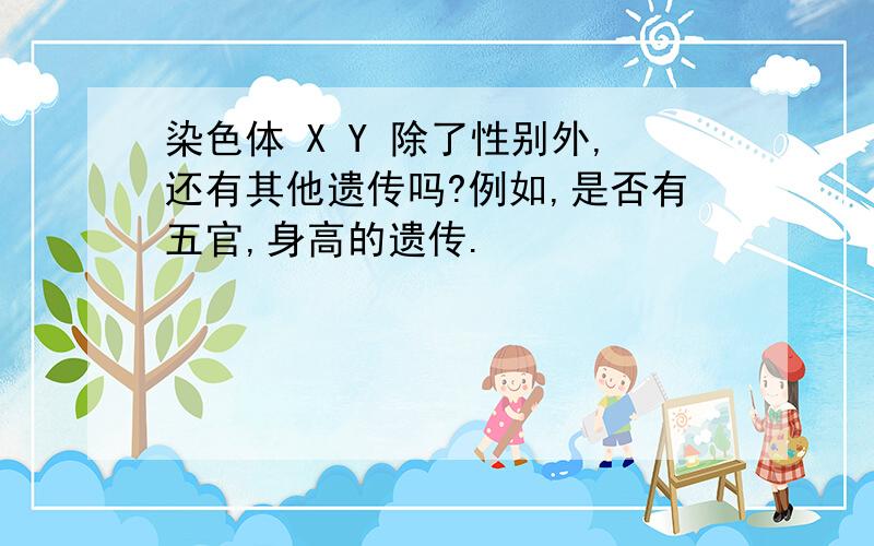 染色体 X Y 除了性别外,还有其他遗传吗?例如,是否有五官,身高的遗传.