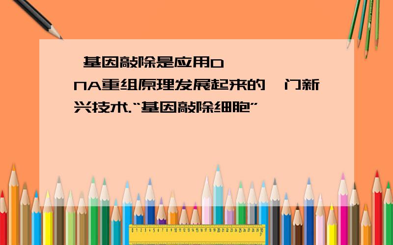  基因敲除是应用DNA重组原理发展起来的一门新兴技术.“基因敲除细胞”