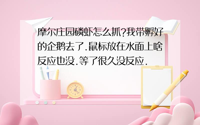 摩尔庄园磷虾怎么抓?我带孵好的企鹅去了.鼠标放在水面上啥反应也没.等了很久没反应.