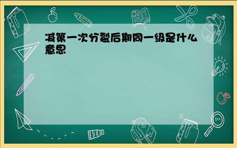 减第一次分裂后期同一级是什么意思