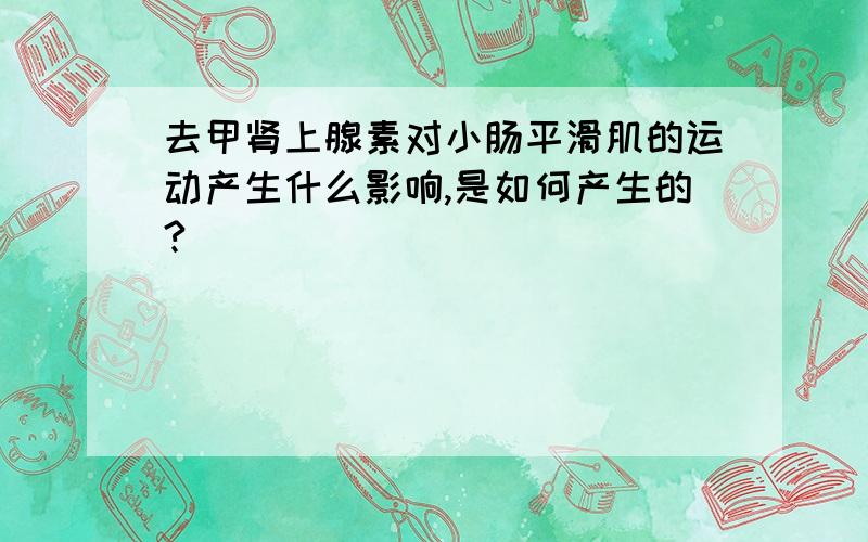 去甲肾上腺素对小肠平滑肌的运动产生什么影响,是如何产生的?