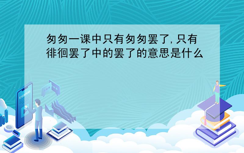 匆匆一课中只有匆匆罢了,只有徘徊罢了中的罢了的意思是什么