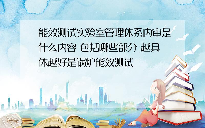 能效测试实验室管理体系内审是什么内容 包括哪些部分 越具体越好是锅炉能效测试