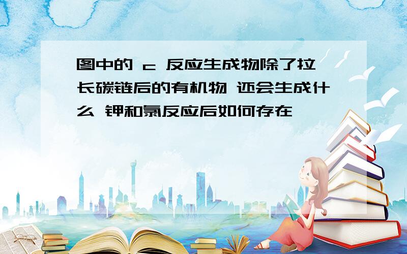 图中的 c 反应生成物除了拉长碳链后的有机物 还会生成什么 钾和氯反应后如何存在