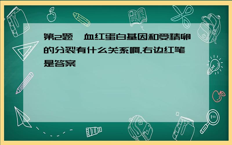 第2题,血红蛋白基因和受精卵的分裂有什么关系啊.右边红笔是答案,