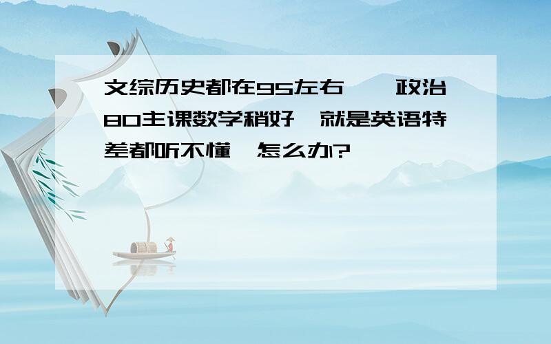 文综历史都在95左右,,政治80主课数学稍好,就是英语特差都听不懂,怎么办?