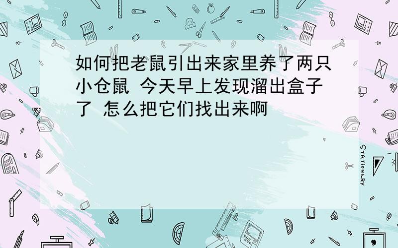 如何把老鼠引出来家里养了两只小仓鼠 今天早上发现溜出盒子了 怎么把它们找出来啊