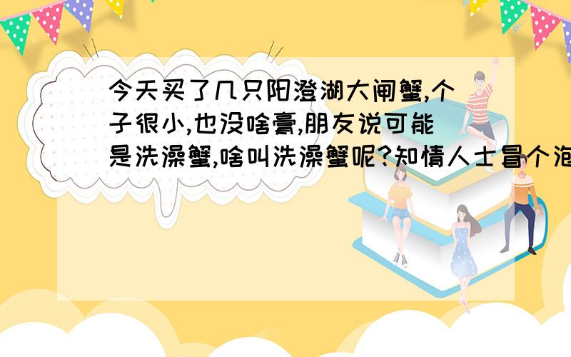 今天买了几只阳澄湖大闸蟹,个子很小,也没啥膏,朋友说可能是洗澡蟹,啥叫洗澡蟹呢?知情人士冒个泡