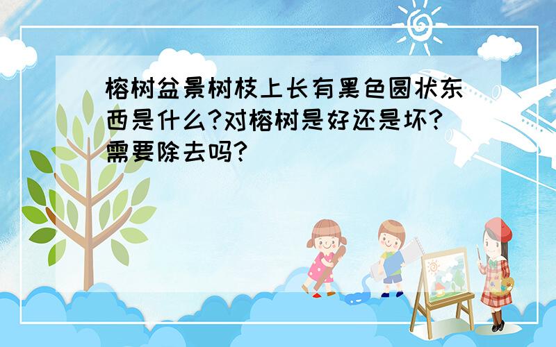 榕树盆景树枝上长有黑色圆状东西是什么?对榕树是好还是坏?需要除去吗?