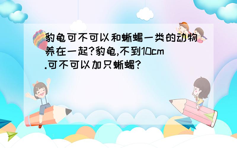 豹龟可不可以和蜥蜴一类的动物养在一起?豹龟,不到10cm.可不可以加只蜥蜴?