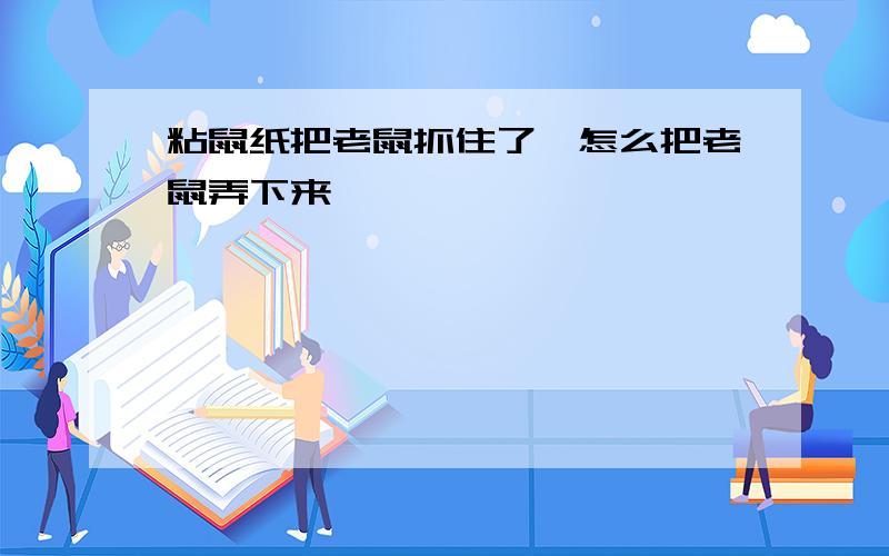 粘鼠纸把老鼠抓住了,怎么把老鼠弄下来