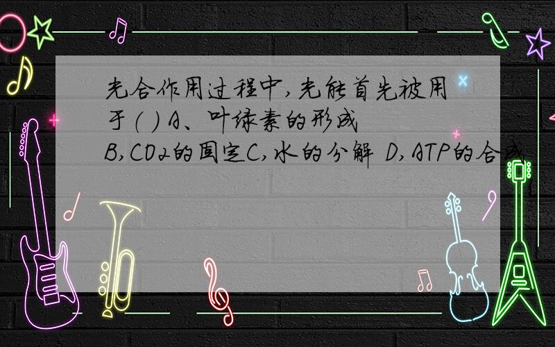 光合作用过程中,光能首先被用于（ ） A、叶绿素的形成 B,CO2的固定C,水的分解 D,ATP的合成