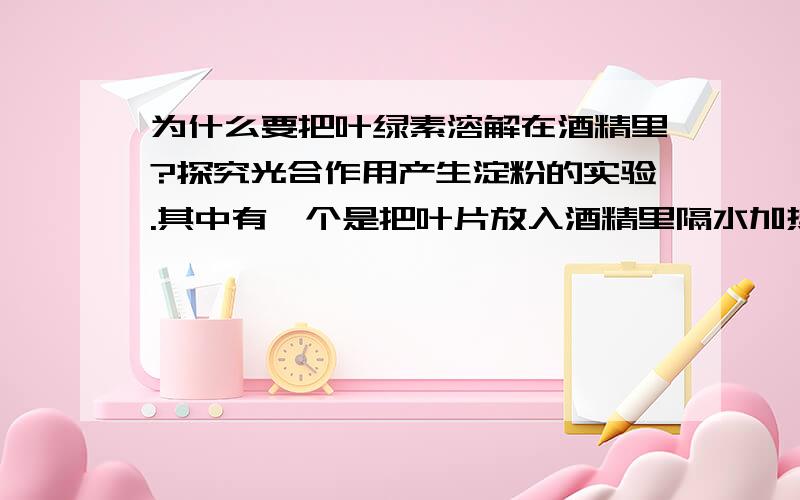 为什么要把叶绿素溶解在酒精里?探究光合作用产生淀粉的实验.其中有一个是把叶片放入酒精里隔水加热,把叶绿素溶解在酒精里,这是为了什么,