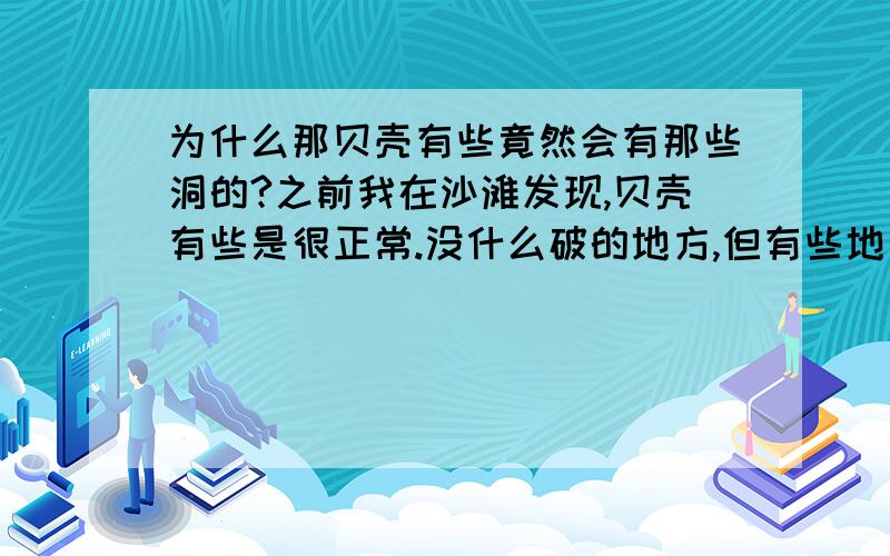 为什么那贝壳有些竟然会有那些洞的?之前我在沙滩发现,贝壳有些是很正常.没什么破的地方,但有些地方会有洞的?那个洞就在贝壳的头上~怎么那么奇怪?为什么会这样?听我同学说过是