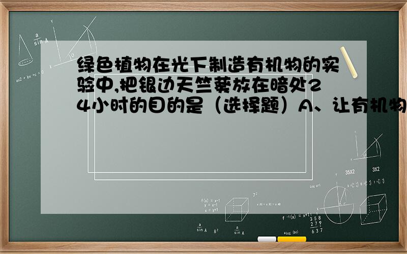 绿色植物在光下制造有机物的实验中,把银边天竺葵放在暗处24小时的目的是（选择题）A、让有机物积累起来 B、让有机物运走消耗 C、进行光合作用合成有机物 D、不让植物产生二氧化碳