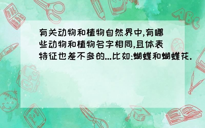 有关动物和植物自然界中,有哪些动物和植物名字相同,且体表特征也差不多的...比如:蝴蝶和蝴蝶花.