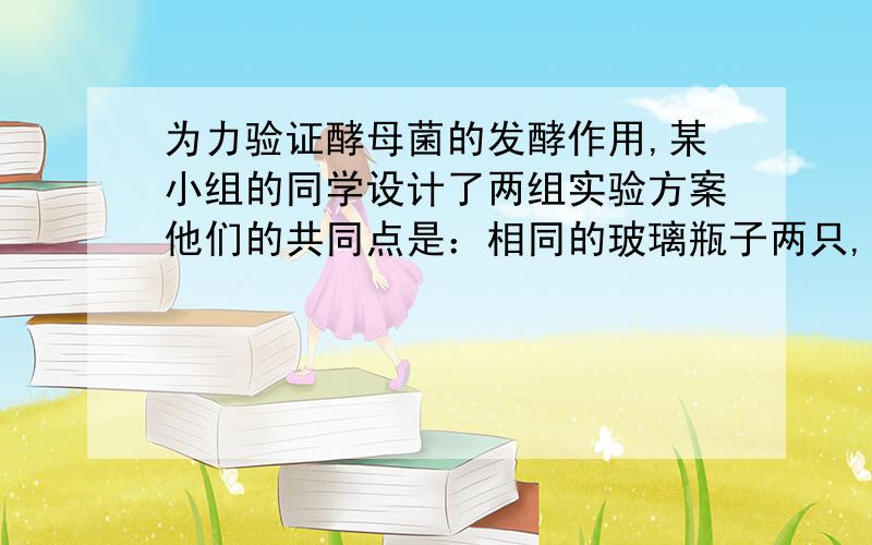 为力验证酵母菌的发酵作用,某小组的同学设计了两组实验方案他们的共同点是：相同的玻璃瓶子两只,分为甲、已两组,分别加入等量的温开水,每组按照各自的方案（方案一、方案二）加入不