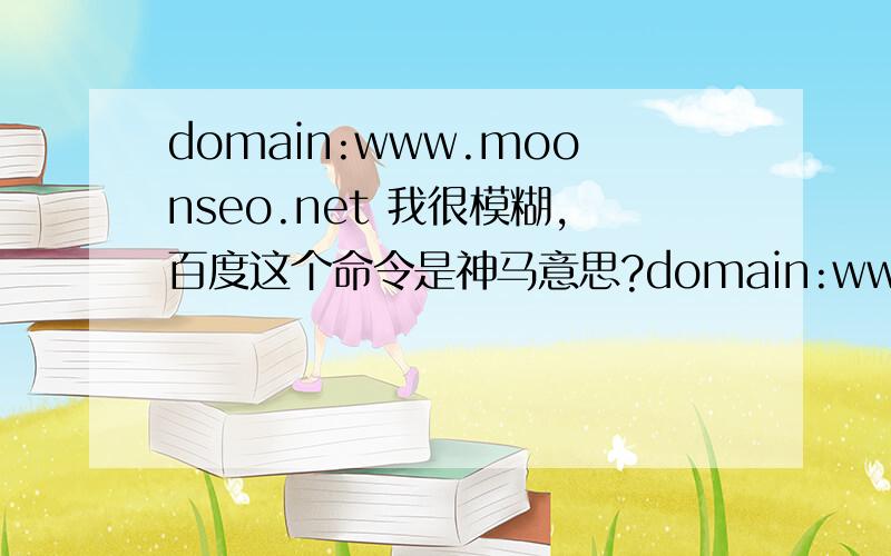 domain:www.moonseo.net 我很模糊,百度这个命令是神马意思?domain:www.moonseo.net 就是这个命令