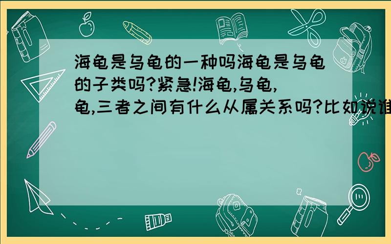 海龟是乌龟的一种吗海龟是乌龟的子类吗?紧急!海龟,乌龟,龟,三者之间有什么从属关系吗?比如说谁属于谁的一种,准确详细越好,