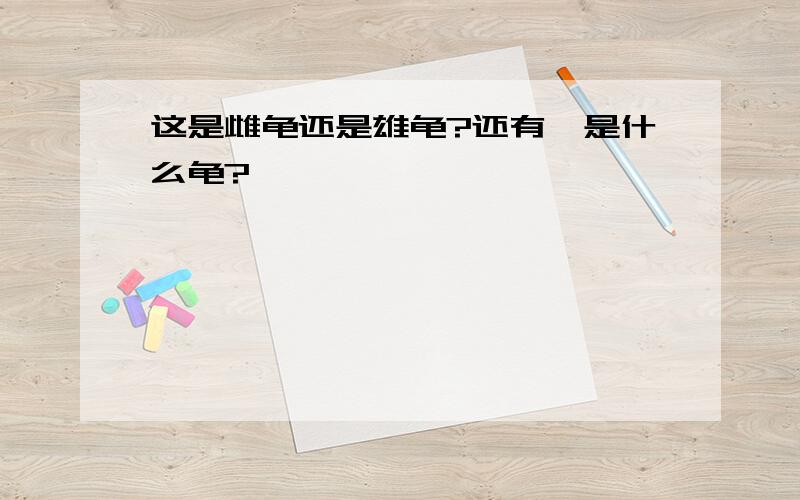 这是雌龟还是雄龟?还有,是什么龟?