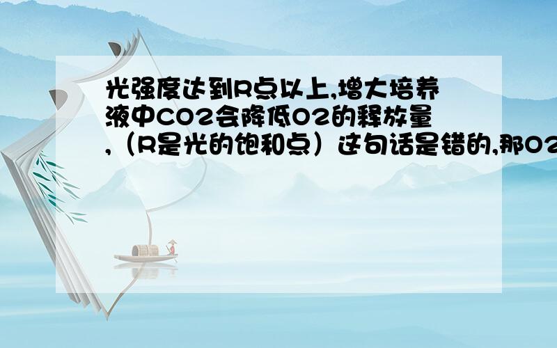 光强度达到R点以上,增大培养液中CO2会降低O2的释放量,（R是光的饱和点）这句话是错的,那O2的释放量是增加还是减少,为什么,