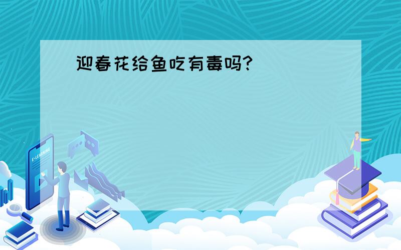 迎春花给鱼吃有毒吗?