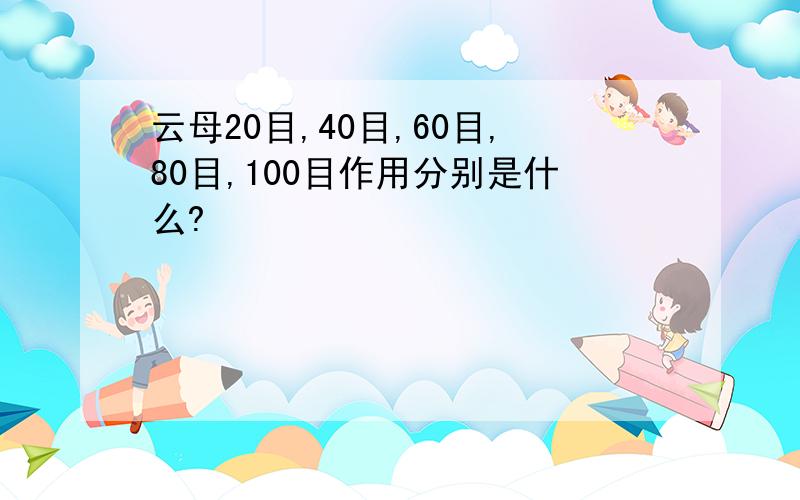 云母20目,40目,60目,80目,100目作用分别是什么?