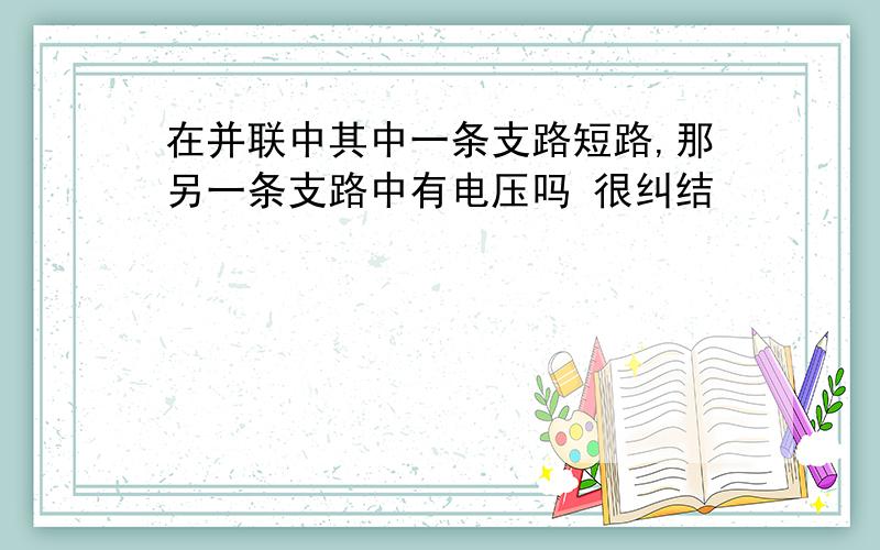 在并联中其中一条支路短路,那另一条支路中有电压吗 很纠结