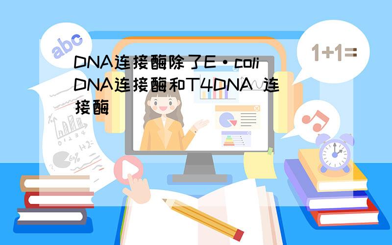 DNA连接酶除了E·coliDNA连接酶和T4DNA 连接酶