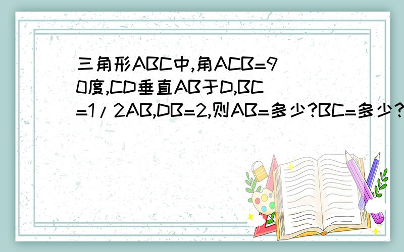 三角形ABC中,角ACB=90度,CD垂直AB于D,BC=1/2AB,DB=2,则AB=多少?BC=多少?AC=多少?三角形ABC面积是多少?