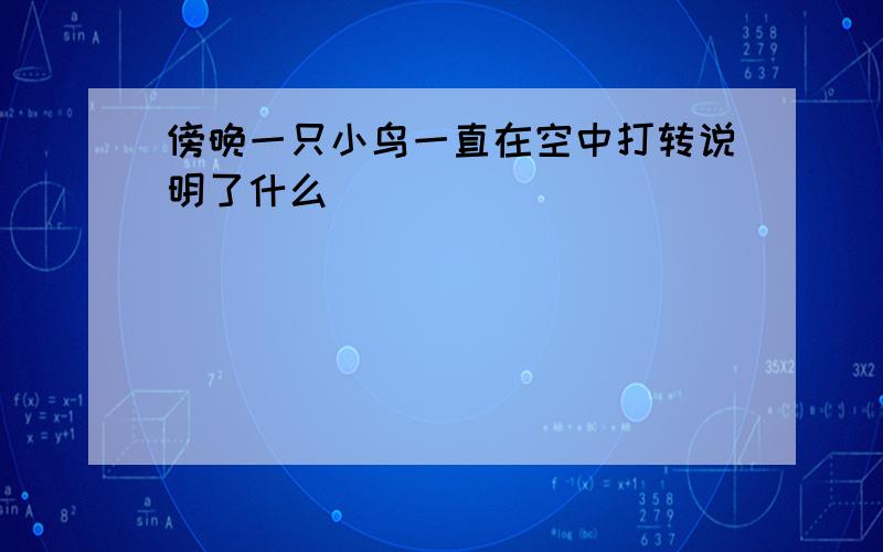 傍晚一只小鸟一直在空中打转说明了什么