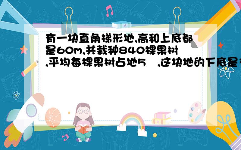 有一块直角梯形地,高和上底都是60m,共栽种840棵果树,平均每棵果树占地5㎡,这块地的下底是多少米?