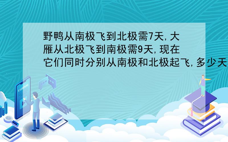 野鸭从南极飞到北极需7天,大雁从北极飞到南极需9天,现在它们同时分别从南极和北极起飞,多少天后相遇?