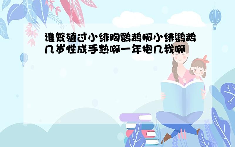 谁繁殖过小绯胸鹦鹉啊小绯鹦鹉几岁性成手熟啊一年抱几我啊