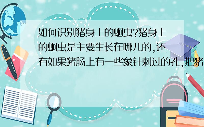 如何识别猪身上的蛔虫?猪身上的蛔虫是主要生长在哪儿的,还有如果猪肠上有一些象针刺过的孔,把猪肠透光可看到孔所在处有阴影,似脓包,这是否是蛔虫产的卵?