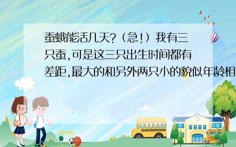 蚕蛾能活几天?（急!）我有三只蚕,可是这三只出生时间都有差距,最大的和另外两只小的貌似年龄相差7天,如果两只小的变成蚕蛾后,大的蚕蛾会死吗?能告诉一下,为什么我的大蚕大便变绿了?蜕