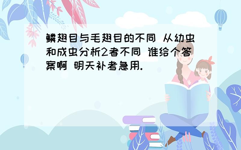 鳞翅目与毛翅目的不同 从幼虫和成虫分析2者不同 谁给个答案啊 明天补考急用.