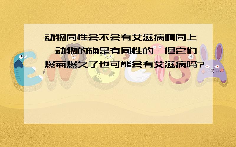 动物同性会不会有艾滋病啊同上,动物的确是有同性的,但它们爆菊爆久了也可能会有艾滋病吗?