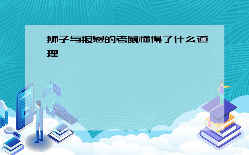 狮子与报恩的老鼠懂得了什么道理