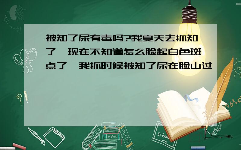 被知了尿有毒吗?我夏天去抓知了,现在不知道怎么脸起白色斑点了,我抓时候被知了尿在脸山过